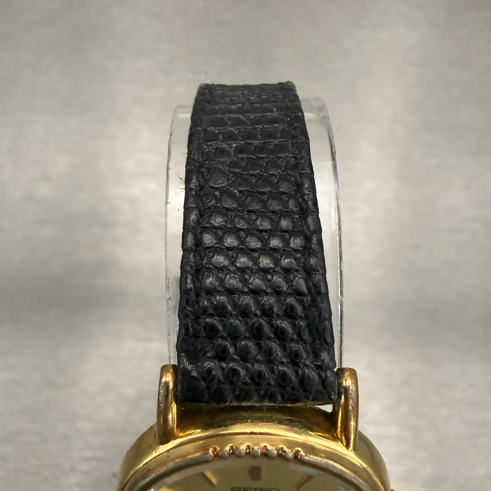 48101665