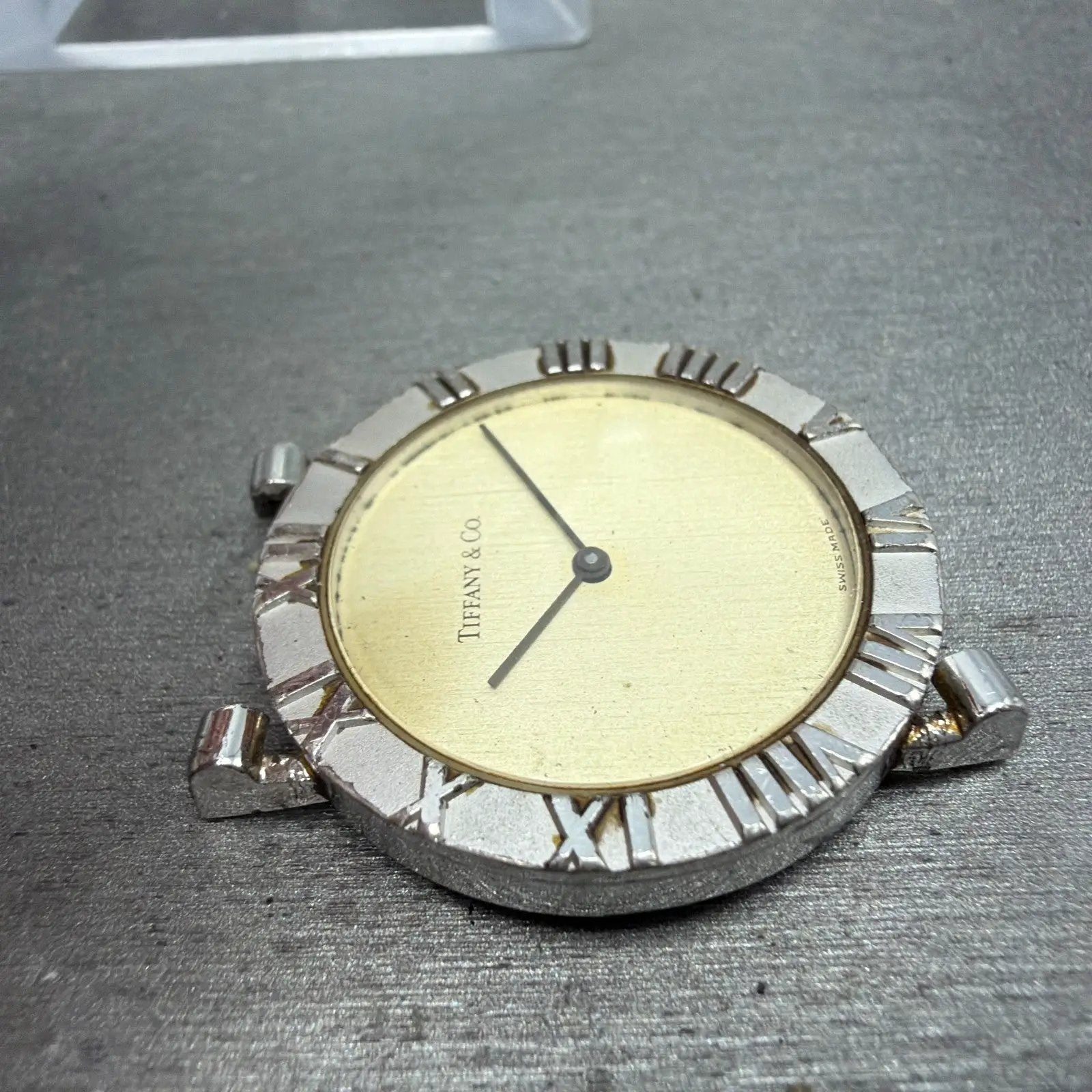 48043069