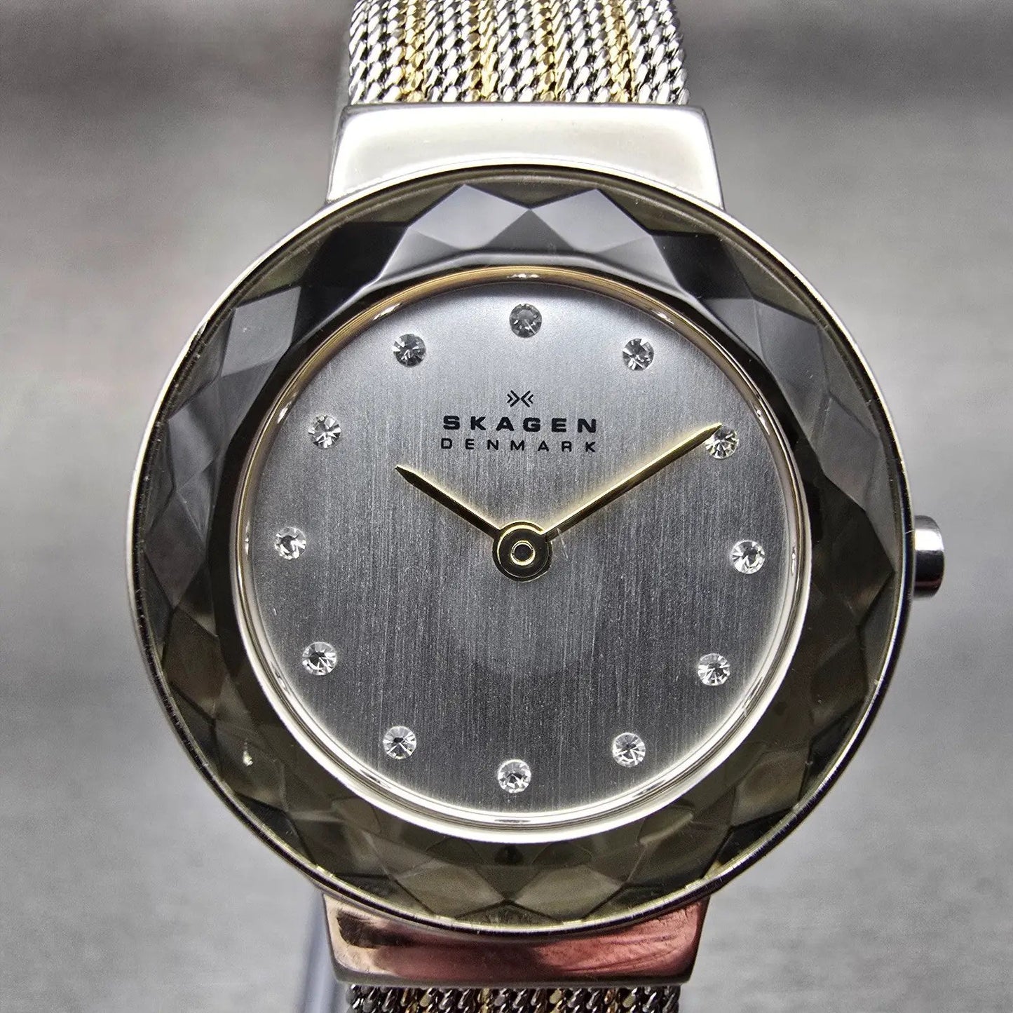 Skagen Leonora Watch Women 25mm Silver Dial Two Tone Round 456SGS1 New Battery1