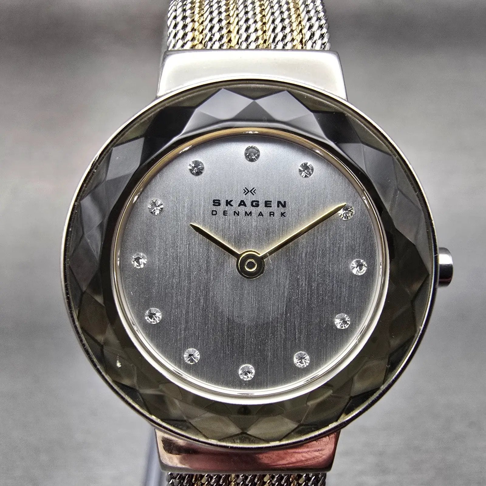 Skagen Leonora Watch Women 25mm Silver Dial Two Tone Round 456SGS1 New Battery1