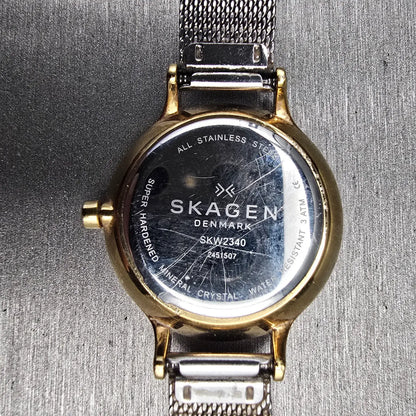 Skagen Anita Lille Watch Women 30mm Silver Dial Gold Tone SKW2340 New Battery10