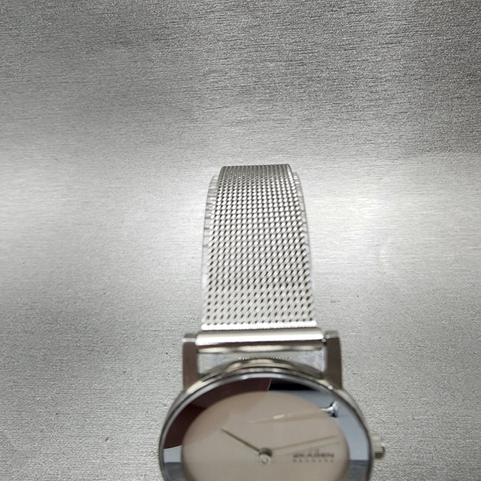 Skagen Watch Women 27mm Silver Dial Silver Tone Round Mesh Band New Battery4