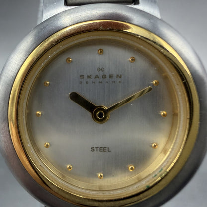 Skagen Watch Women 23mm Silver Dial Two Tone Round Mesh 120SGS New Battery1