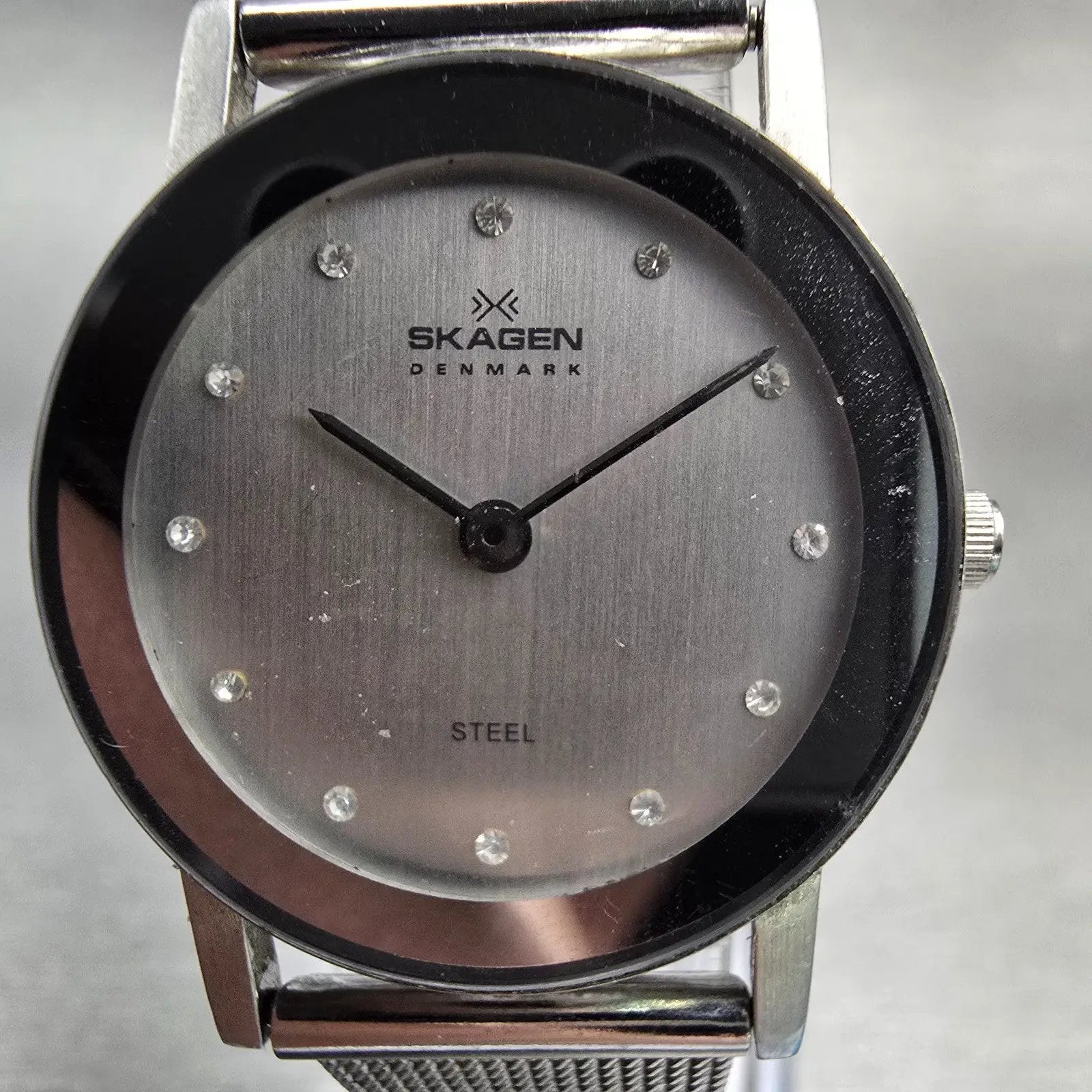 Skagen Watch Women 26mm Silver Dial Silver Tone Round 39SSSD New Battery1