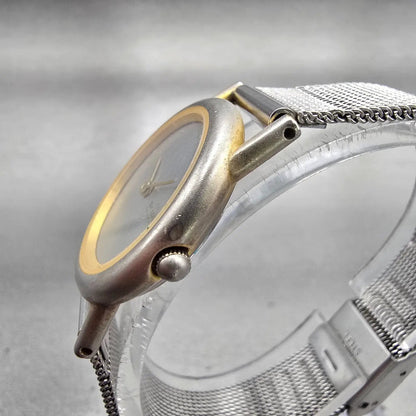 Skagen Denmark Watch Women 25mm Silver Dial Two Tone Round Mesh Band New Battery2