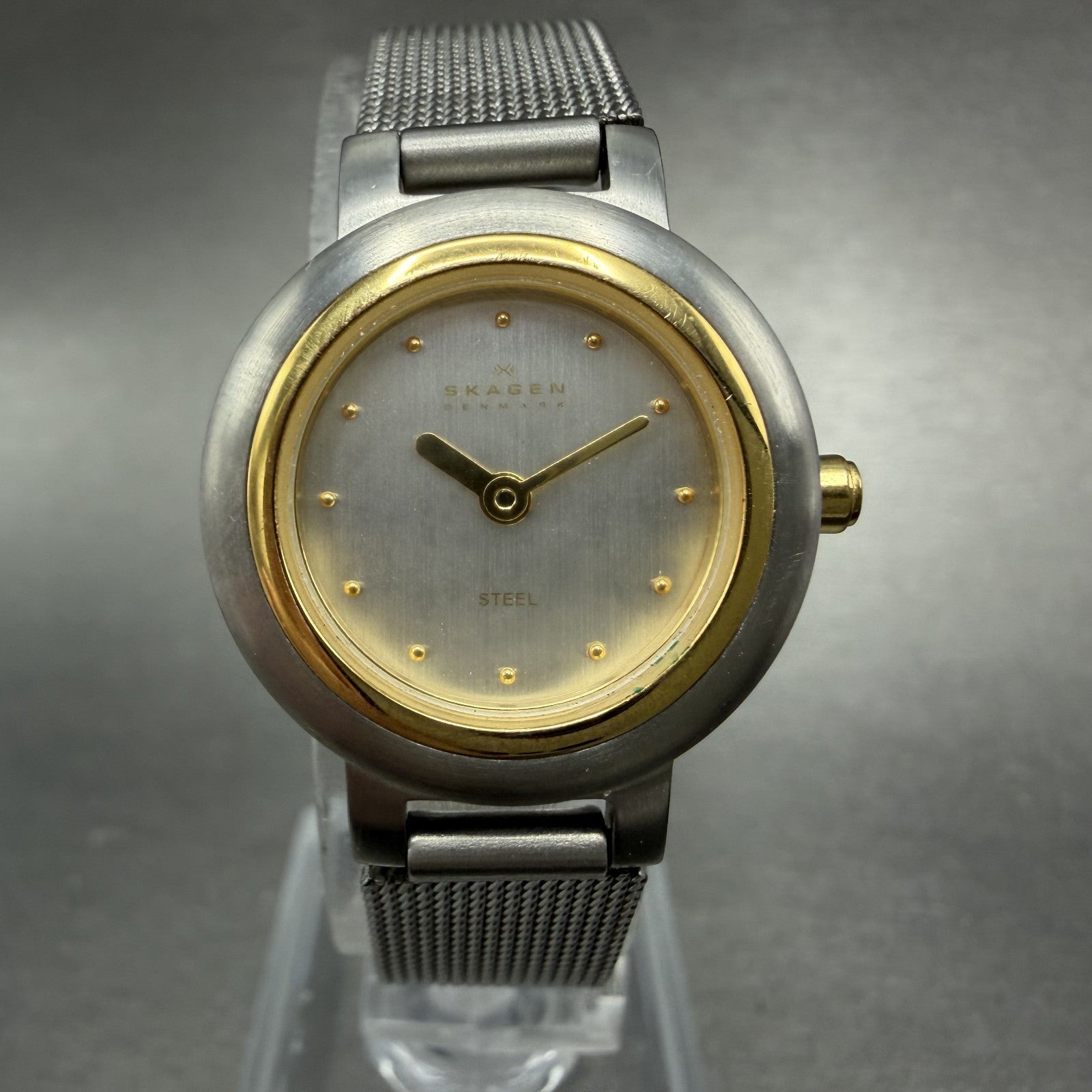 Skagen Watch Women 23mm Silver Dial Two Tone Round Mesh 120SGS New Battery0
