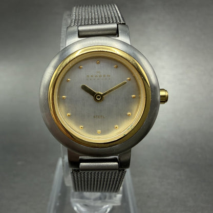 Skagen Watch Women 23mm Silver Dial Two Tone Round Mesh 120SGS New Battery0