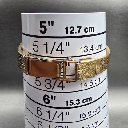 Seiko Watch Women 20mm Champagne Dial Gold Tone Oval 2320-5439 New Battery JP9