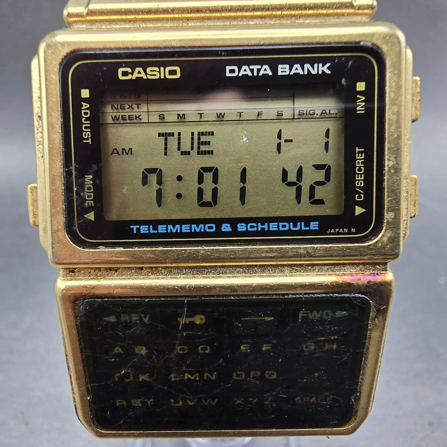48450381
