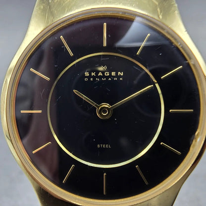Skagen Watch Women 28mm Black Dial Gold Tone Round 233SGLB New Battery1